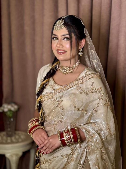 Indian Georgette Sharee